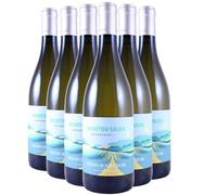 Menetou-Salon - Blanc 2023 - Henri Bourgeois - Vin Blanc du Val de Loire (6x75cl)