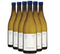 Menetou-Salon Pulsation - Blanc 2023 - Les Eclaireurs - Vin Blanc du Val de Loire (6x75 IO