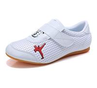 MENG Chaussures Arts Martiaux, Chaussures Taekwondo De Sport sur Piste Enfants Adultes Chaussures De Tai-Chi Unisexe Chaussures De Toile Antidérapantes (Color : White, Size : 44)