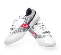 MENG Chaussures d'arts Martiaux Chaussures De Taekwondo, d'enfants D'adolescent Chaussures De Sport De Boxe De Karaté pour Le Taekwondo, Boxe, Kung Fu, Taichi (Color : White, Size : 41)