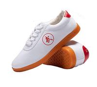 MENG Tai Chi Chaussures Martial Kung Fu Chaussures Shaolin Qi Gong Wing Chun Les Chaussures avec Caoutchouc Classique Semelle Oxford for Hommes Et Femmes(White,45 EU)