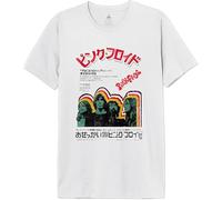 Men's T-Shirt Pink Floyd Japan Band Pink Floyd Print, White, Size 3XL