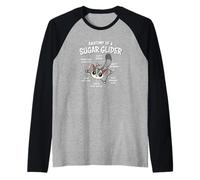 Mens Womens Kids Cute Anatomy of A Sugar Glider Lover Manche Raglan
