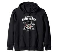 Mens Womens Kids Cute Anatomy of A Sugar Glider Lover Sweat à Capuche
