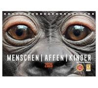 MENSCHEN-AFFEN-KINDER (Tischkalender 2026 DIN A5 quer), CALVENDO Monatskalender: Emotionale Porträts von Gorillas/Bonobos