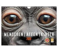 MENSCHEN-AFFEN-KINDER (Wandkalender 2026 DIN A4 quer), CALVENDO Monatskalender: Emotionale Porträts von Gorillas/Bonobos