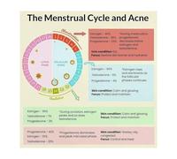 Menstrual Cycle Chart Poster Womens Hormone Guide for Science Biology Classroom Wall-Art Decor(Unframed,16x16inch(40x40cm))