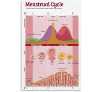 Menstrual Health Hormone Chart Poster Women Cycle Tracker Canvas Print Wall Art Fertility Awareness Home Decor