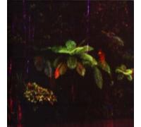 Menstruation Sisters - Puppet Island