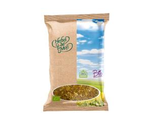 Menta Poleo Eco