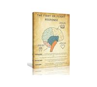 Mental Health Therapy Office Decorations The Fight or Flight Response Poster Positive Wall Art for Home Giclee Artwork Wall Bathroom(Unframed,16x24inch(40x60cm))