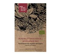 Menthe à feuilles rondes (Mentha suaveolens) bio env. 500 semences