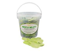 Menthe Mojito lyophilisée à feuilles entières prête à l'emploi pour cocktails et plats innovants-Préserve 98% du goût, couleur et arôme de la menthe fraîche- 100% MENTHE HIERBABUENA- (Small 1L)