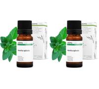 Menthe Verte BIO (Mentha spicata) - 10 mL - Huile Essentielle Chémotypée et Certifiée AB - Digestion & Santé intestinale - Aroma Labs - Made in France (Lot de 2)