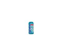 Mentos Gum Fresh Wintergreen 12uts