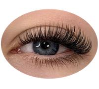 MeoMagic Extensions de cils - 10 rangées - 20-286