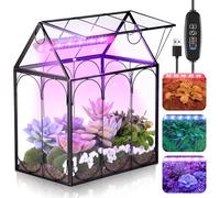 Meonum Petit terrarium en verre avec lampe de croissance, 18 x 12 x 22 cm, piège à mouches Venus avec tapis absorbant, minuterie et 3 modes d'éclairage pour plantes succulentes vivantes, décoration