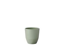 Mepal silueta 200 ml tasse de Sauge Nordique