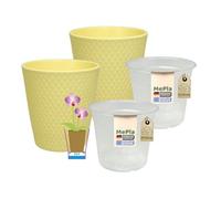 MePla - Lot de 2 pots à orchidées SK Soendgen Arlequin Ø 14 cm - Pot à orchidée vanille Ø 12 cm - Ambiance d'intérieur de qualité supérieure