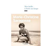 Mer belle à forte au large