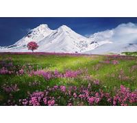 Mer de Fleurs Roses sous Les Montagnes enneigées - Puzzle de 2000 pièces - Convient aux Adultes et aux familles - 70 x 100 cm