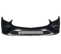 Mercedes-Benz Pare-chocs avant | 0000 - Div. Coloris, pas de choix de couleurs | A | K9-Z A2548859200 K9-ZA-0000