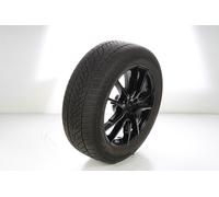 Mercedes-Benz Roue complète alu GOODY | UltraGripPerformance + 5 doubles branches A2964010300 RB-ZA