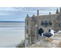 Mercedes monospace 5 à 6 personnes