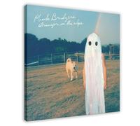 MERCHA Phoebe Bridgers Stranger In The Alps Music Album Cover Poster Toile Décor Chambre Bureau Chambre Cadeau 30 x 30 cm