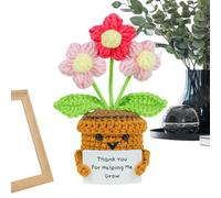 Merci de m'aider à crocheter des fleurs Appréciation | Plantes Crochetées Pour Maman Enseignant Étudiant Diplôme Fête des Mères Célébration Ses Amis