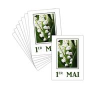 MERCI-FACTEUR.COM Carte 1er Mai - 8 Cartes Postales (3 Formats Dispos) - Carte Muguet Délicat Sous Un Ciel En Fleurs