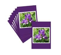 MERCI-FACTEUR.COM Carte Faire-Part de décès - 8 Cartes Pliées (3 Formats Dispos) - Carte Fleurs Violettes Pour Un Doux Adieu