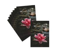 MERCI-FACTEUR.COM Carte Sincères Remerciements Nénuphar - 8 Cartes Postales (3 Formats Dispos) - Carte Fleurs Délicates Pour Un Hommage Sincère