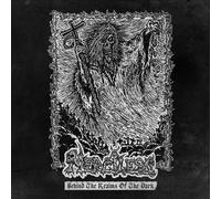 Merciless Behind the Realms of the Dark (Vinyl) 12" Album