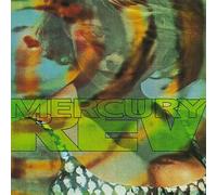 Mercury Rev - Yerself is Steam