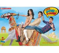 Mere Brother Ki Dulhan (2011) (Hindi Movie / Bollywood Film / Indian Cinema DVD)