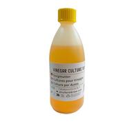 Mère de vinaigre 100 ml, Bactéries acétiques pour fermentation, Culture de fermentation maison, Acetobacter