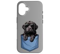 Mère mignonne de poche Newfie Chiot Lover Terre-Neuve Coque pour iPhone 16
