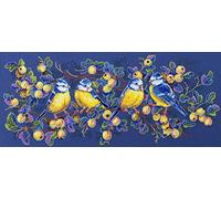 Merejka Kit de broderie au point de croix en coton, multicolore, 37 x 15 cm
