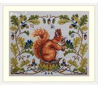 Merejka Kit de broderie au point de croix Motif écureuil