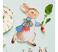 Meri Meri Lot de 12 assiettes en forme de Peter Rabbit