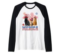 Merica Cats American Flag Firework Patriotic 4th of July Cat Manche Raglan