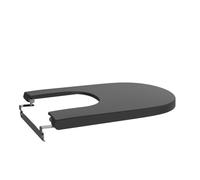 Meridian abattant frein de chute pour bidet en acier inoxydable noir mat - ROCA A806F92081