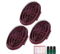 Meridian Brush Massage Brush - Beauty Salon Custom Body Care Tool with Flexible Bristles | Full Body Relaxation SPA Massager, Muscle Soothing Body Scrubber (3PCS)