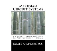 Meridian Circuit Systems: A Channel Based Approach to Pattern Identification