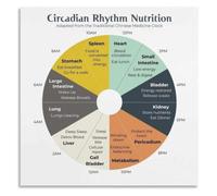 Meridian Clock Eating Poster Circadian Rhythm Nutrition Wellness Guide | Understanding spleen stomach liver gallbladder timing improves metabolic function(Unframed,08x12inch(20x30cm))