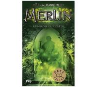Merlin - Tome 4 - Le Miroir Du Destin