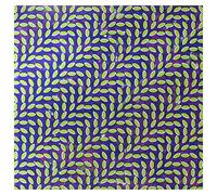 Merriweather post pavillion Vinyle
