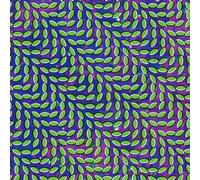 Merriweather Post Pavilion