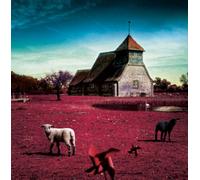 Merry - Very Best: Shiroi Kuroi Hitsuji [Import]